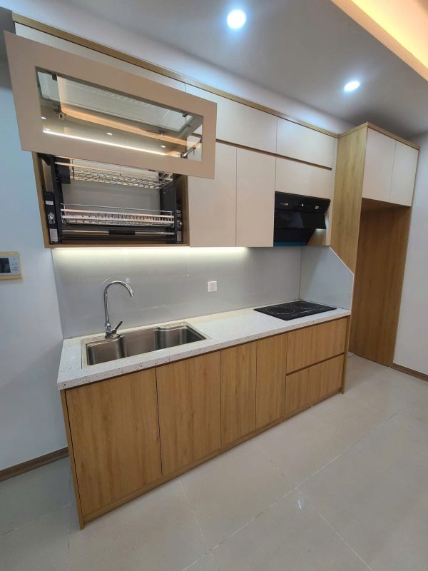 z6385634693521_fbac98b77a8597a0591d4d2db8b5b9ea Tủ bếp nhựa đặc