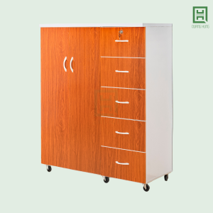 DL2CM5H-GD (2) Tủ Quần Áo Nhựa Đài Loan 2 Cánh Mở + 5 Hộc Kéo
