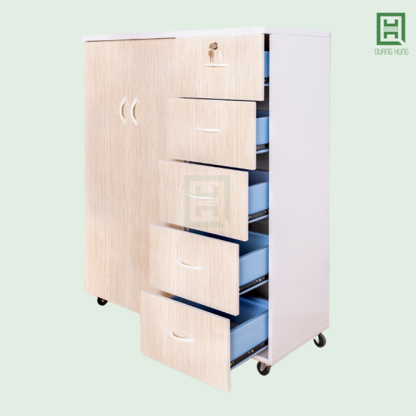 DL2CM5H-K (5) Tủ Quần Áo Nhựa Đài Loan 2 Cánh Mở + 5 Hộc Kéo