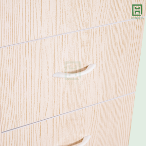 DL2CM5H-K (9) Tủ Quần Áo Nhựa Đài Loan 2 Cánh Mở + 5 Hộc Kéo