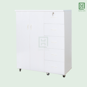 DL2CM5H-T (3) Tủ Quần Áo Nhựa Đài Loan 2 Cánh Mở + 5 Hộc Kéo